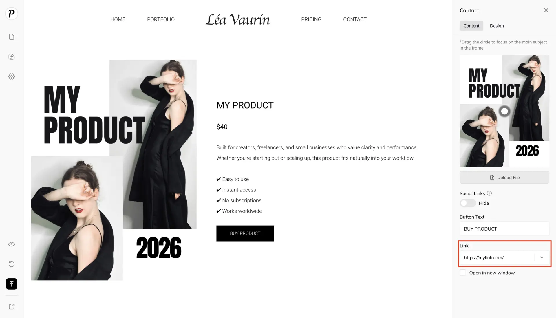 Payment Link example